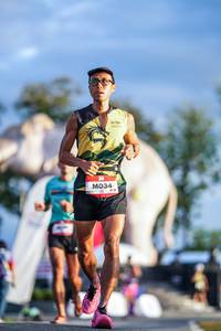 BIB: 
                            <button type="button" onclick="openModal(26541232)" class="btn btn-primary btn-sm float-right btn-popup" data-toggle="modal" data-target=".modal-high-quality">
                        <i class="fas fa-shopping-cart"></i> Add to Cart
                    </button>
                                            <button type="button" onclick="isThisMe(26541232, true)" class="btn btn-success btn-sm float-right btn-popup btn-isme hidden" data-toggle="tooltip" data-placement="bottom" title="นี่คือรูปของคุณใช่ไหม คลิกที่นี่เพื่อเอาเข้าอัลบั้ม">
                        <i class="fas fa-plus"></i> Add to album
                    </button>
                    <button type="button" onclick="isThisMe(26541232, false)" class="btn btn-warning btn-sm float-right btn-popup btn-isnotme hidden">
                        <i class="fas fa-ban"></i> Remove from album
                    </button>